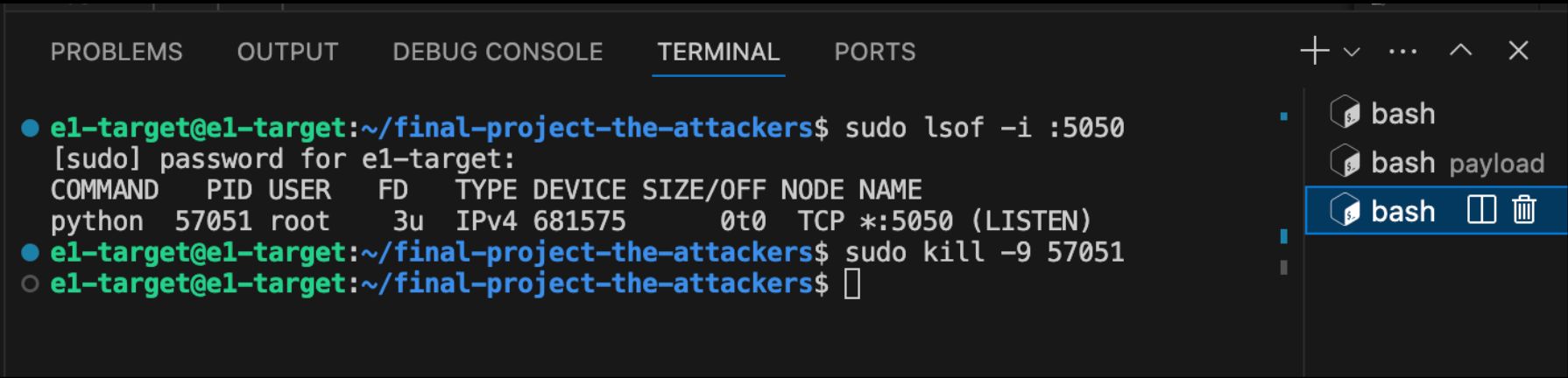Checking sudo privileges